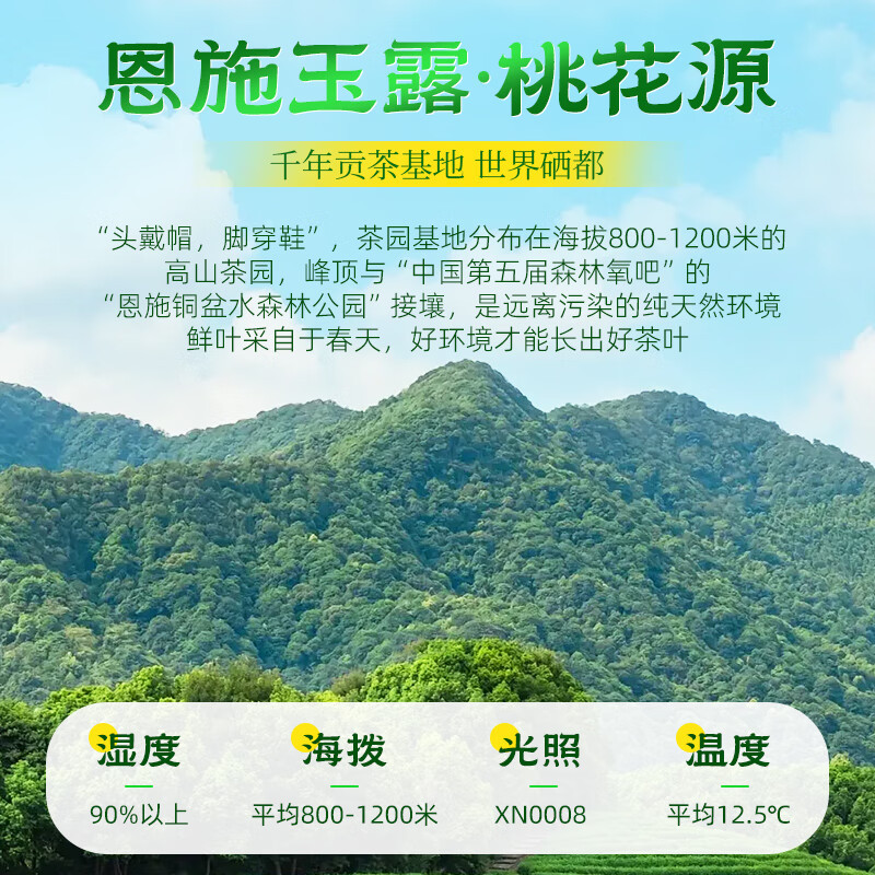 茶馬世家 一级恩施玉露春华商务礼盒180g(90g*2罐)