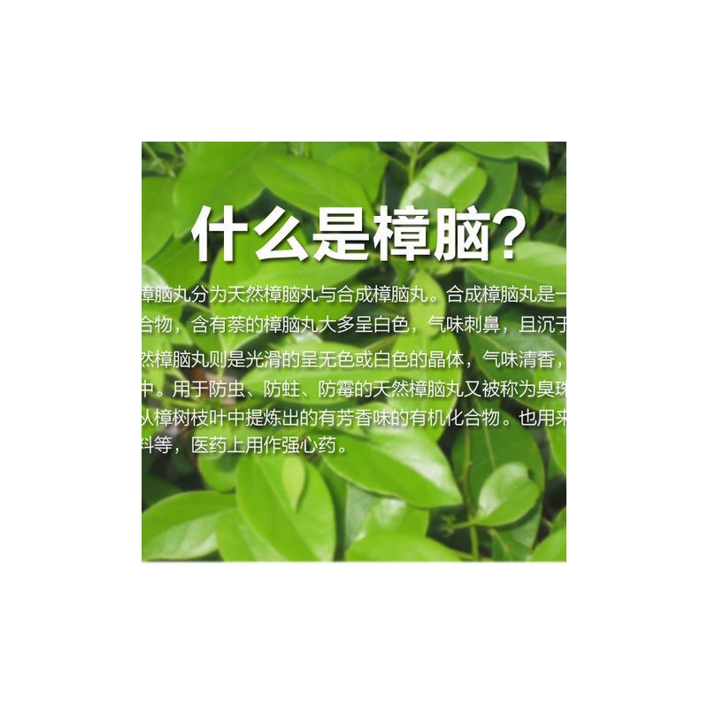 樟脑丸防霉蟑螂防潮驱虫干燥剂衣橱挂式衣柜家用樟脑盒除湿卫生球|粉红色1个