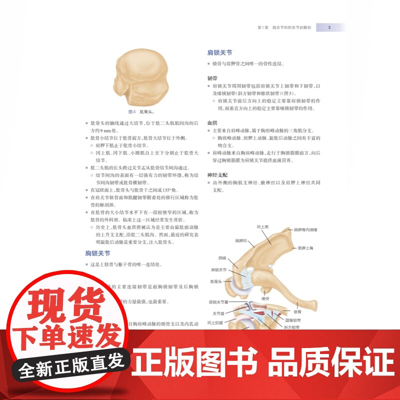 WIESEL骨科手术学·肩肘外科高清大图