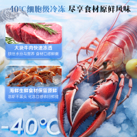 澳柯玛零下40度低温冷柜家用电脑控温减霜少霜冰柜冷冻冷藏卧式顶开小冰箱