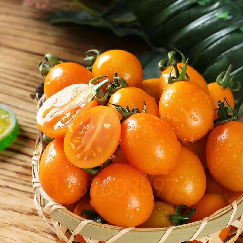 赛卡伊现摘黄金圣女果小西红柿新鲜蔬菜樱桃小番茄非千禧小柿子