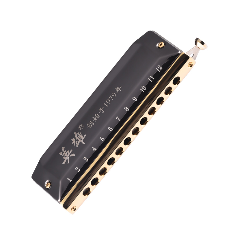 英雄12孔半音阶口琴新手初学者学生入门练习16孔高级成人专业舞台乐队