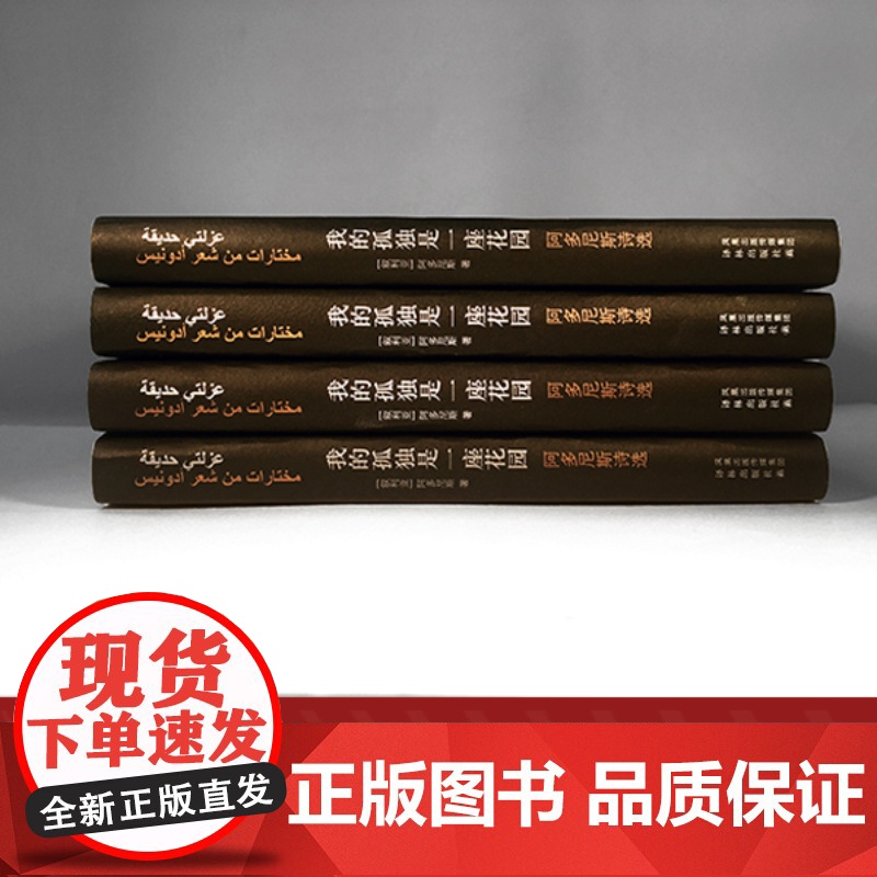 我的孤独是一座花园 阿多尼斯代表作亲笔授权当代阿拉伯诗歌先驱诺贝尔文学奖热门人选收录作品跨越半个世纪译林出版社高清大图
