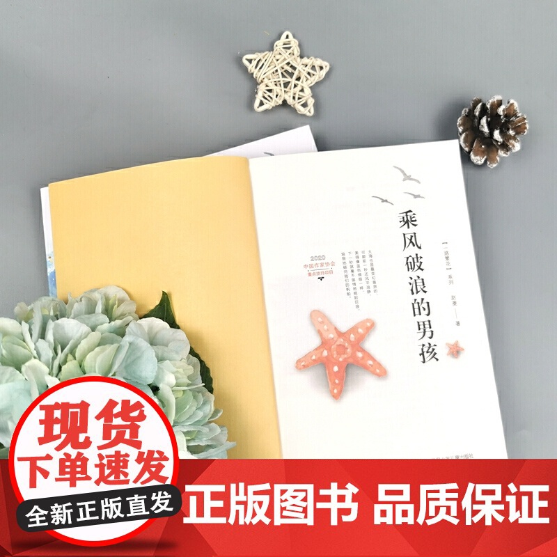 正版童书 乘风破浪的男孩中国好书赵菱一路繁花系列励志故事星辰厨房帝国大水如果星星开满树小学生一三五级儿童课外阅读书高清大图