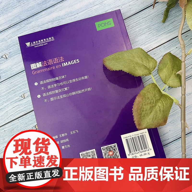图解法语语法 穆里埃尔·里斯特编 法语语法图解系列情景式法语图解法语语法入门自学参考资料书 上海外语教育出版社97875高清大图