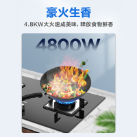 美的(Midea)台式嵌入式燃气灶双灶大火力灶具家用4.8kw猛火灶灶台双眼炉具煤气灶台嵌两用Q217B 天然气