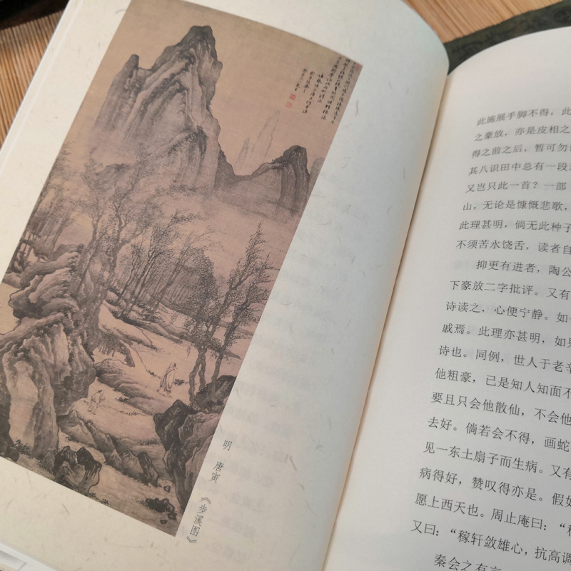 醉染图书苏辛词说9787201152622高清大图