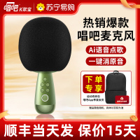 唱吧小巨蛋麦克风G2升级版 复古绿色