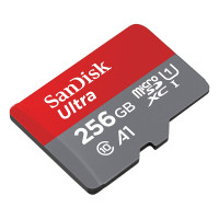闪迪256G内存卡