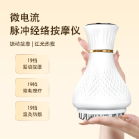 德国康仕坦脉冲按摩器加热防水刷头全身按摩器按摩仪经络刷豪华款