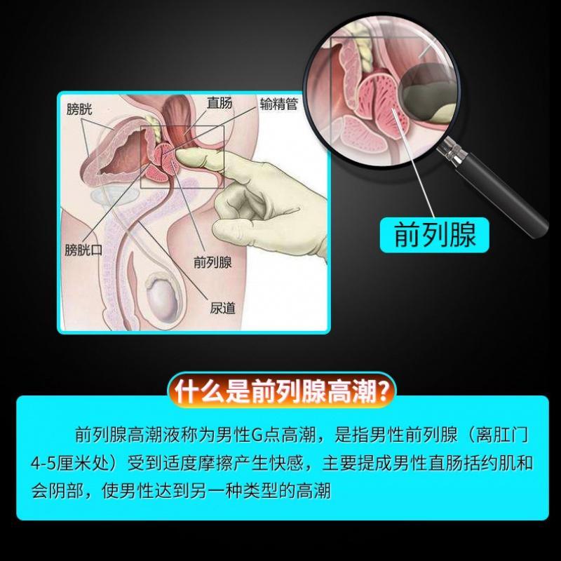 前列腺按摩器男用后庭肛塞电动G点高潮震动棒全自动GAY外出性用品