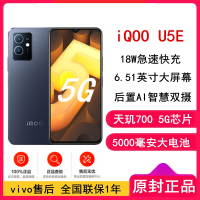 [原封]vivo iQOO U5E 6GB+128GB 5G 深黑色 天玑700 5000mAh长续航 18W快充 6.51英寸高清屏 双模5G手机