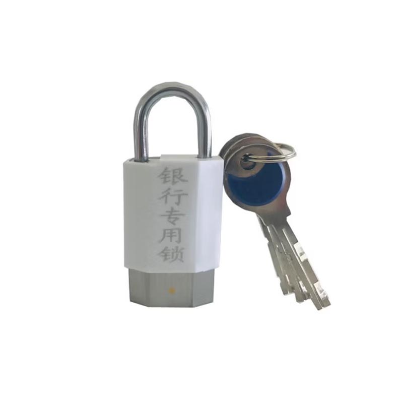 雅富仕Y2611-6 塑封锁 柜员锁 管理锁 挂锁 1盒10把高清大图