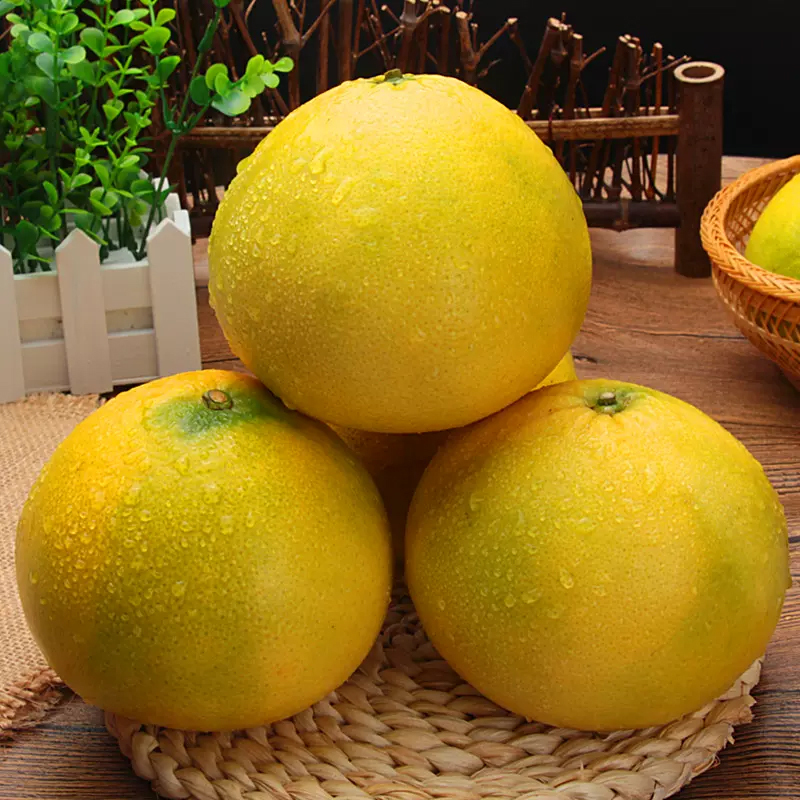 [熊猫鸟]海南新鲜葡萄柚 当季新鲜葡萄柚子 净重3斤 单果300-700g