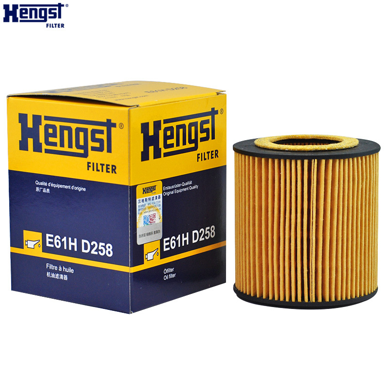 汉格斯特(hengst)机油格滤清器纸芯E61H D258适用于宝马1系2系3系4系5系X1X3X4X5X6Z4机油滤