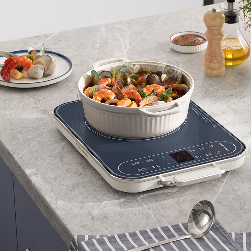 摩飞电器 MORPHY RICHARDS 电磁炉 微晶面板 2100W 多档火力 触控操作 安全过热保护高清大图