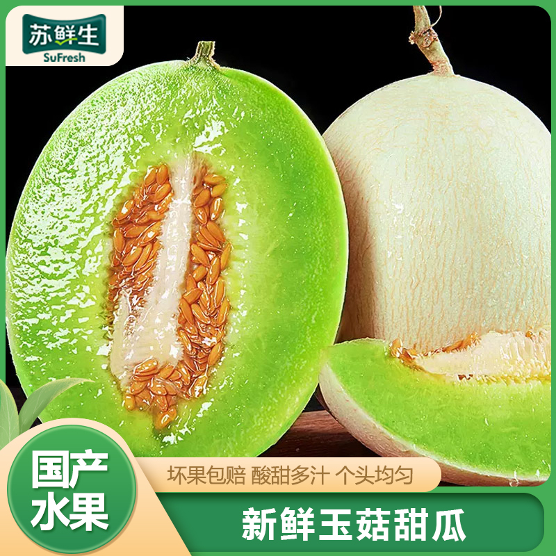 【苏鲜生】玉菇甜瓜 净重4.5斤 1-4个 冰淇淋新鲜水果当季白香瓜玉茹哈蜜瓜