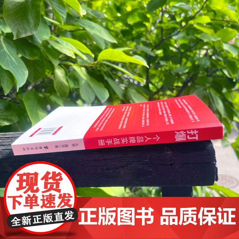打爆 : 个人品牌实战手册高清大图