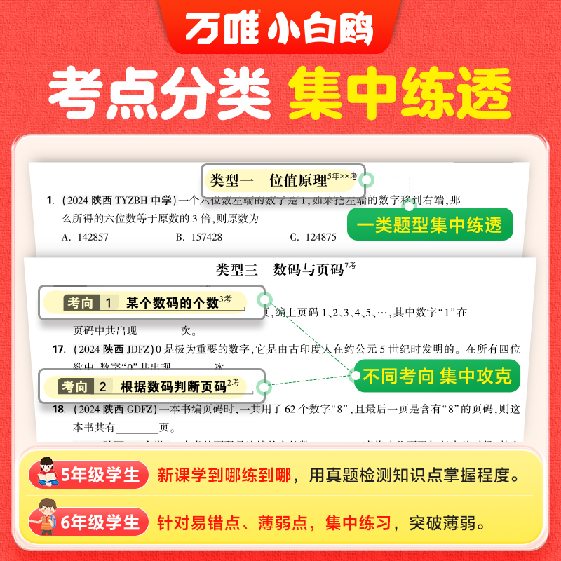 2025版小白鸥基础知识[语文+数学+英语]全国通用 小学升初中 [正版]2025版万唯小白鸥小升初分类卷重点中学招生五