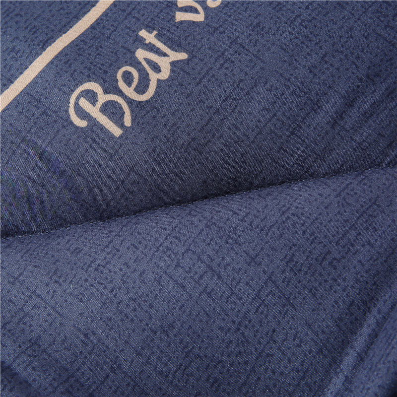 折叠床垫 垫子 褥子 120*200cm 床(DGZ1)高清大图