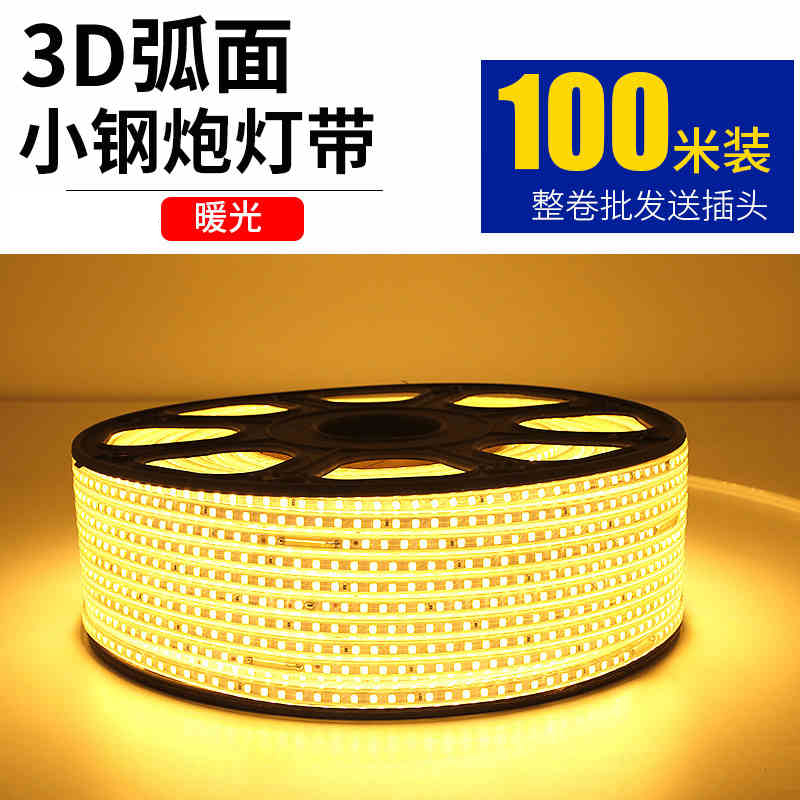 灯带 200v/3000k 100米装 透镜 暖光 送10个插头 单位:条