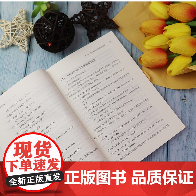 英语语法英语虚拟语气英语时态基于认知理论的英语学习丛书束定芳陈伟编著英语短语动词英语非谓语动词英语介词搭配英语时态语法书高清大图