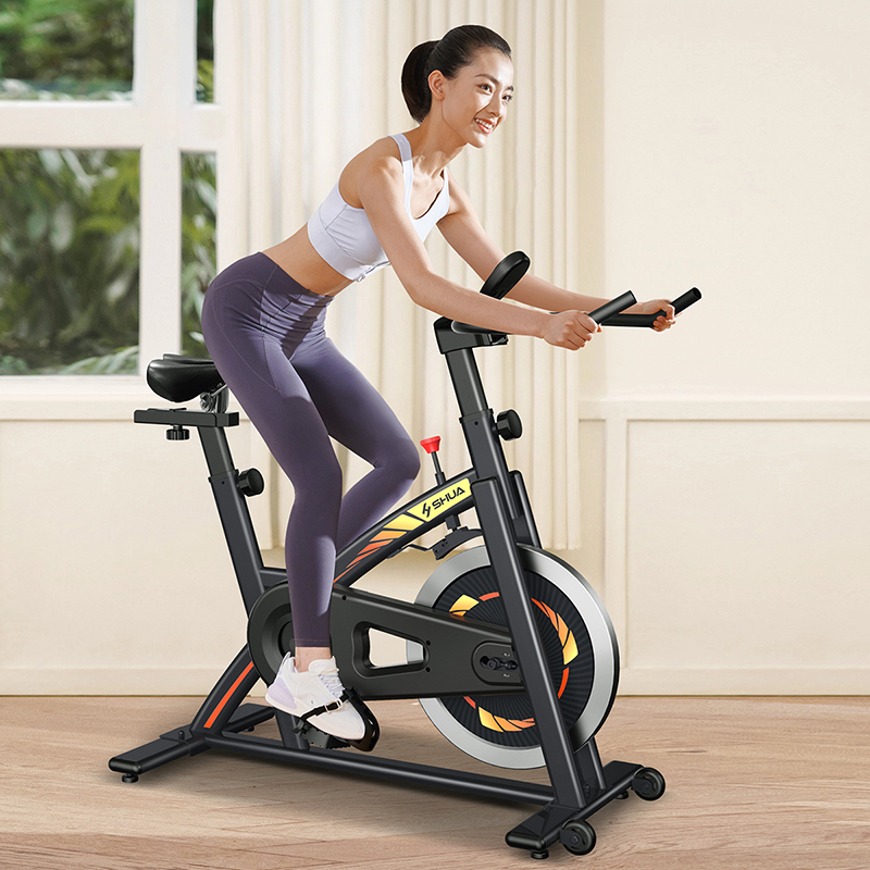 舒华室内小型磁控运动健身车家用款磁控阻力脚踏车动感单车b3100s