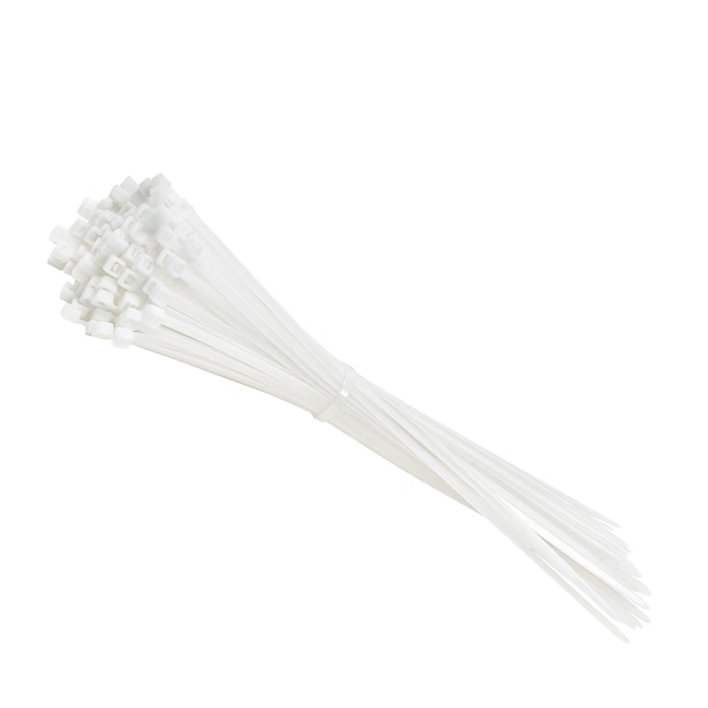 好企来 尼龙扎带 BZ-0018 2.5*100mm 100条/包高清大图