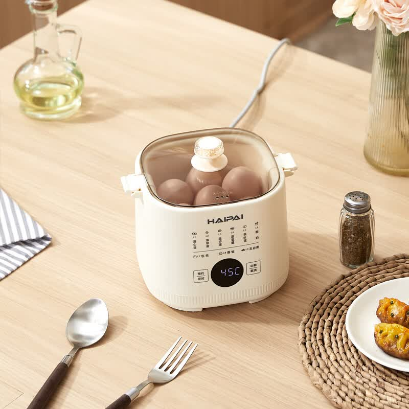 (HAIPAI海牌)迷你蒸蛋器(多功能料理锅)HP-Z236 煮蛋器早餐机 容量0.8L高清大图