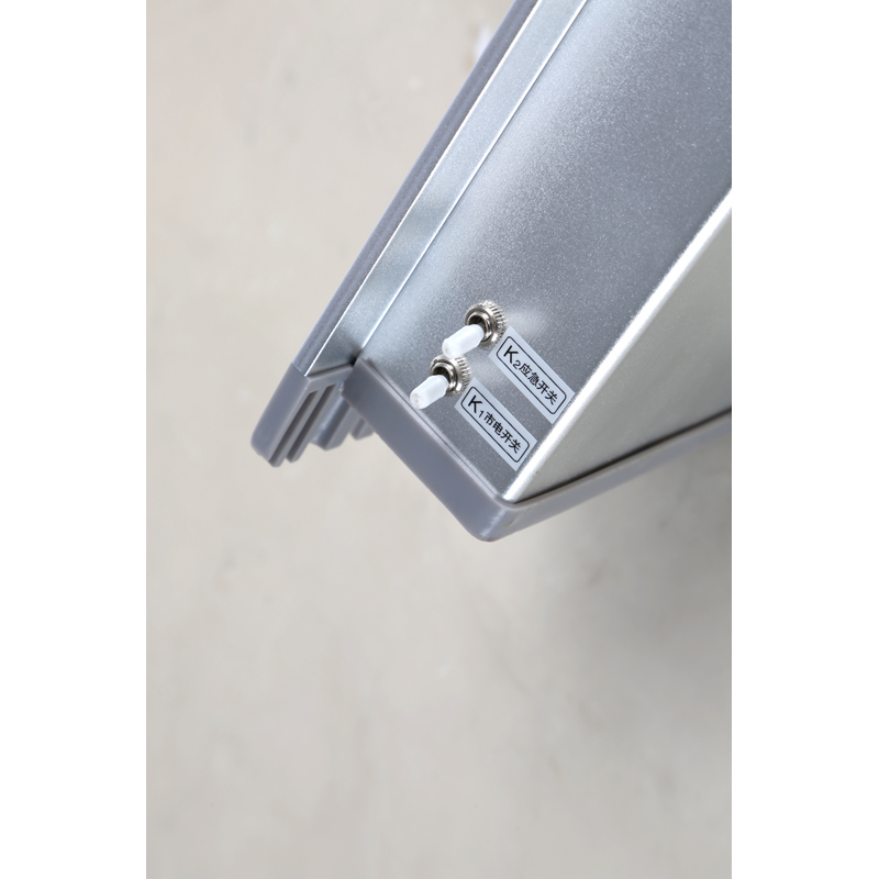 鼎晟丰(DSF)DSFG-900Y LED固态免维护顶灯(应急灯)银色