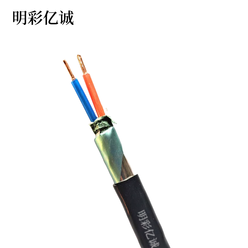 明彩亿诚 铜芯铠装电线ZR-YJV22-2*25平方 额定电压0.6/1KV 米高清大图