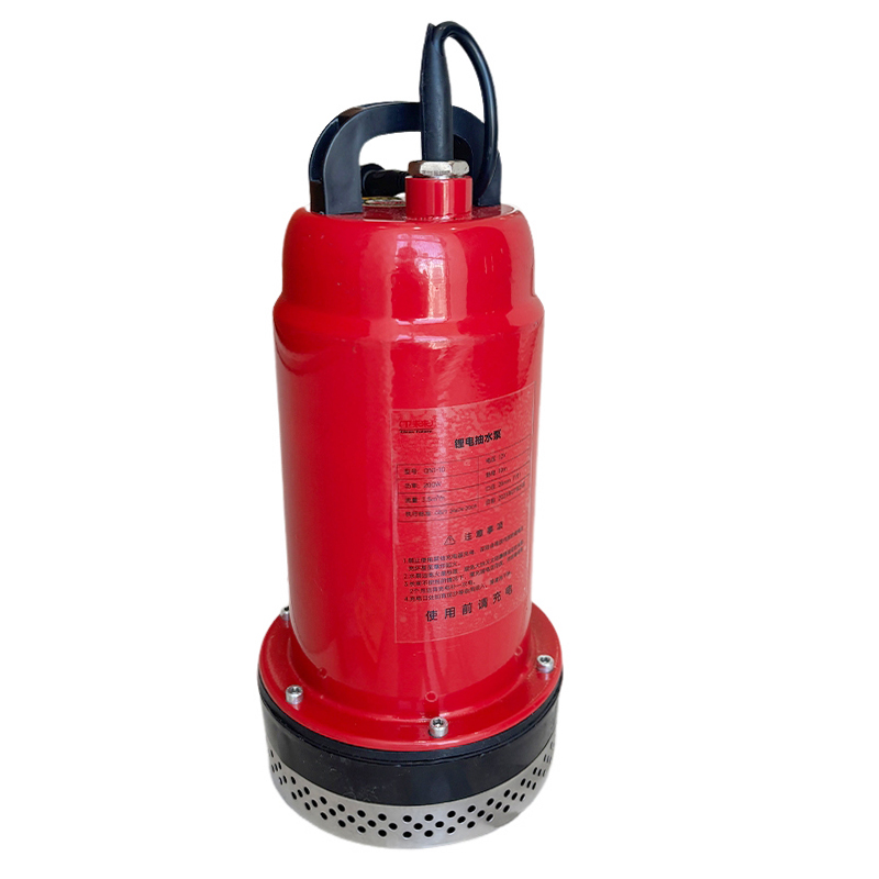 卫未来 锂电抽水泵 QN2-20 台高清大图