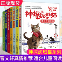 神探虎斑猫全套7册 狼王梦作者沈石溪推荐小学生三四五六年级课外阅读书籍必读儿童读物适合男孩看侦探推理神探猫破案冒险故事小