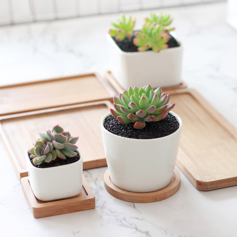 津沽园艺花盆底托长方形大号花托竹托多肉植物花盆底托白瓷花盆托盘