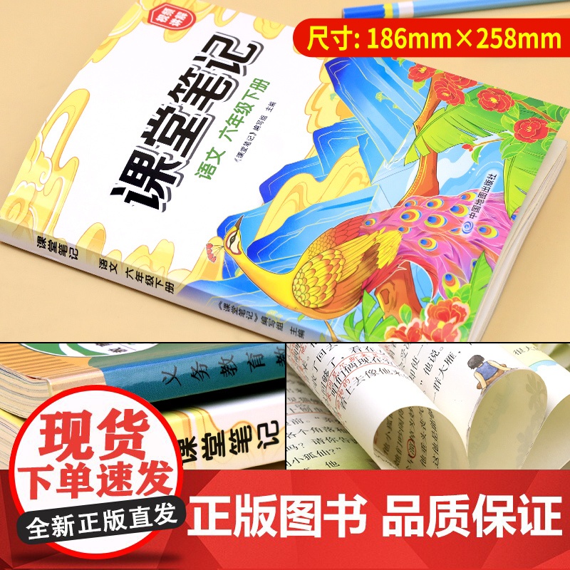 2024新版 六年级下册语文课堂笔记人教版小学6年级下册教材语文课本书人教部编版同步解读全解全析视频讲解辅导资料中国地图高清大图