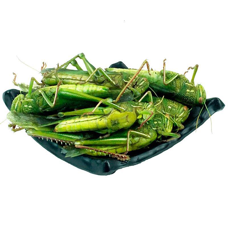 农聚源生大青蝗蹬山倒绿色大蝗虫500g大蚂蚱新鲜昆虫产发qq