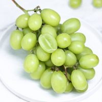 顺丰空运[熊猫鸟]秘鲁无籽青提 净重4斤 新鲜葡萄水果甜地球秋天酥脆当季整箱