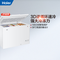 海尔 (Haier) 318升商用大冷冻柜 变温柜海尔冷柜BC/BD-318HD