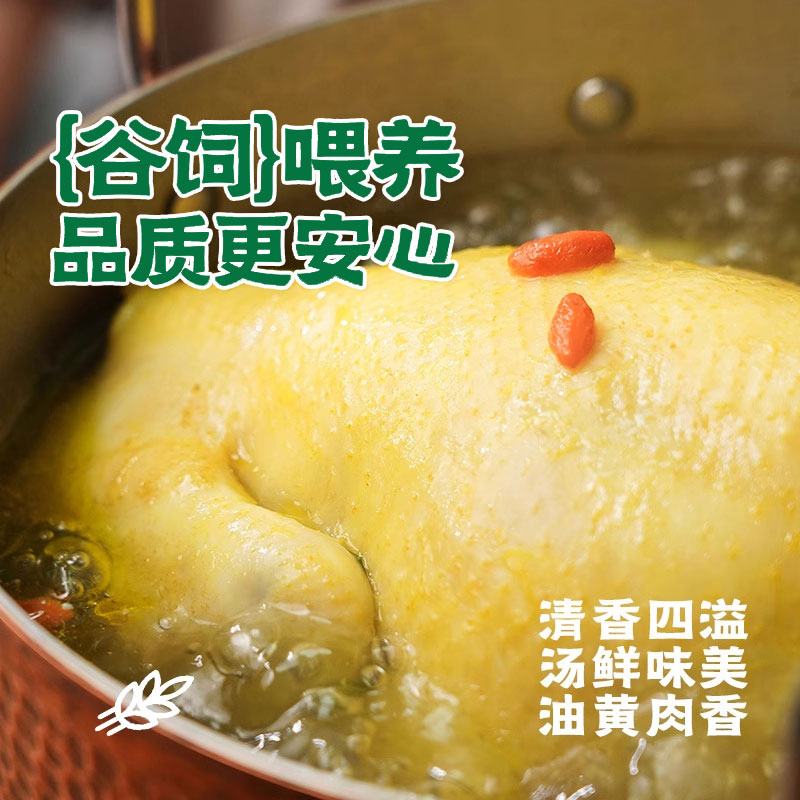 雀淘 正宗皖南黄油老母鸡2-2.3斤/只 1只装 整鸡净膛冷冻竹林慢养鸡走地鸡高清大图
