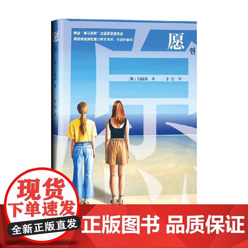 愿 白温柔 著 自我成长疗愈成长枷锁生活和解 小说高清大图