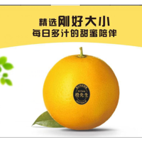橙先生礼盒 (澳大利亚脐橙) 12个装