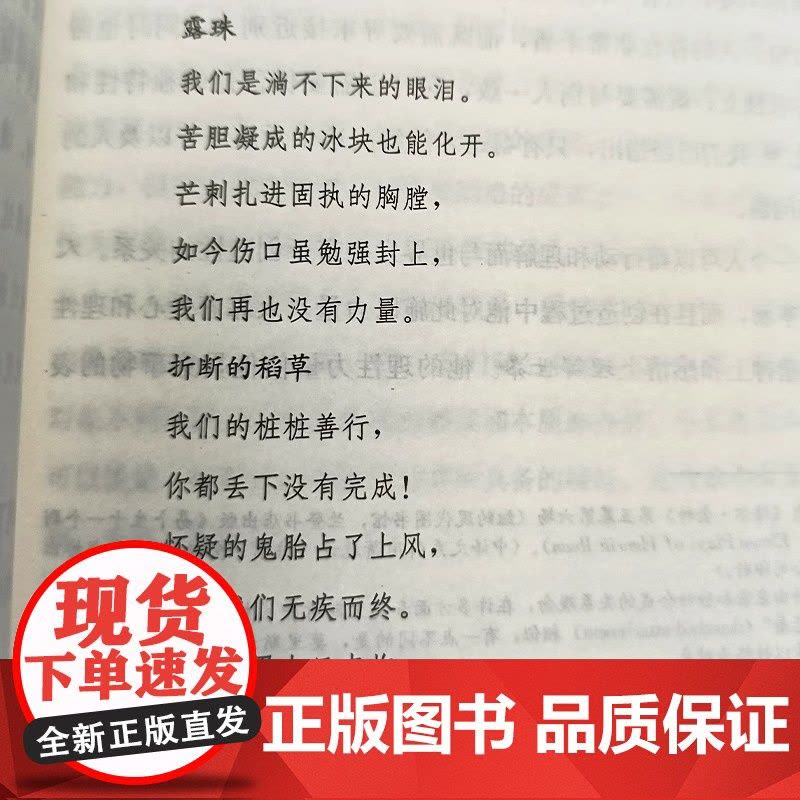 [弗洛姆作品系列]自我的追寻 美)弗洛姆 著作 孙石 译者 心理学研究社会心理学家弗洛姆从事精神分析 逃避自由的续集 励图片