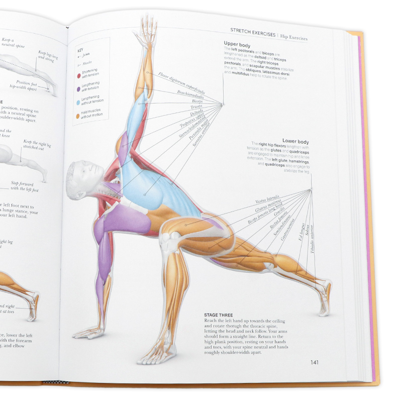 [正版]DK拉伸科学英文原版 Science of Stretch 探索新的运动和缓解僵硬的关节100多个练习临床前高清大图