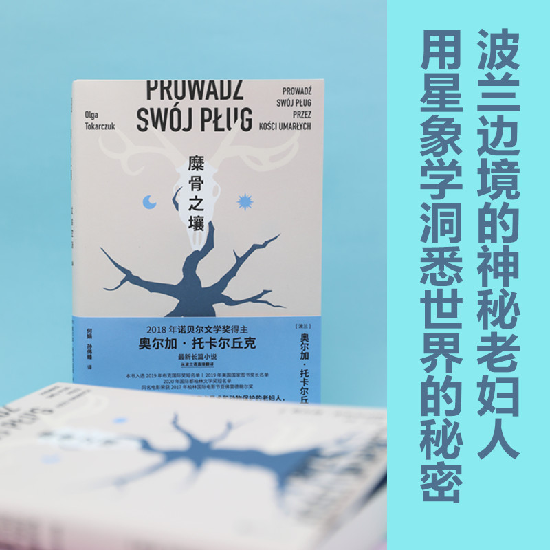 醉染图书糜骨之壤9787533962968高清大图