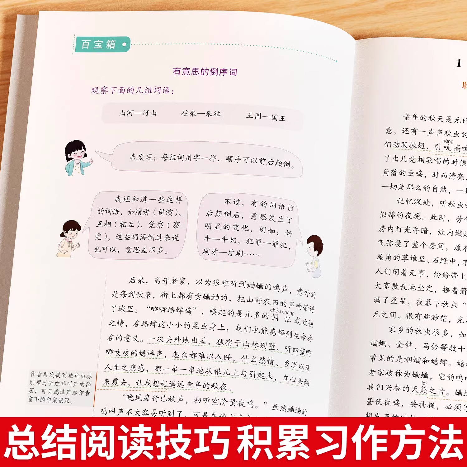 人民日报+同步作文+字词句篇 三年级下 [正版]2024版人民日报伴你阅读一二三四五六年级上册下册小学生课外阅读书教你写高清大图