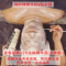 弹绷() 瑞妍生机精华液专用湿敷弹绷棉200片 生机水搭配青春面膜V脸护理