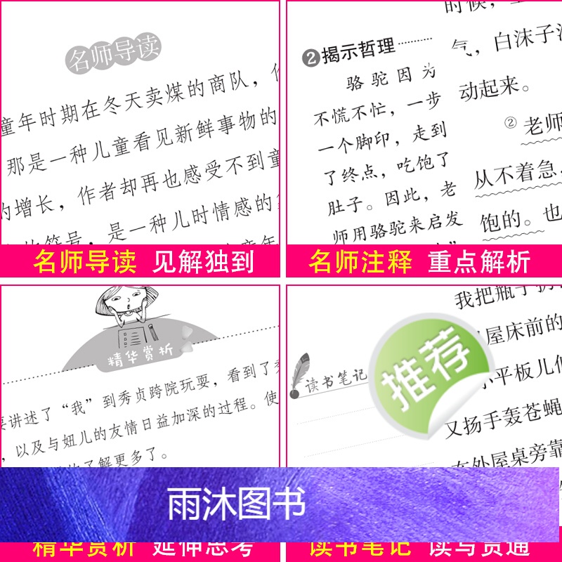 [六年级选读]假如给我三天光明 [正版]鲁滨逊漂流记原著完整版六年级下册必读的课外阅读书藉单本青少年版天地出版社人教版鲁高清大图