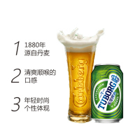 乐堡(Tuborg)啤酒 330ml*6*4听整箱装