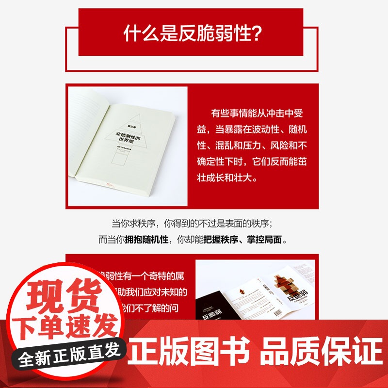 反脆弱(从不确定性中获益) 黑天鹅作者塔勒布新作 从不确定性中受益 世界经济发展理论概况 中信出版社高清大图