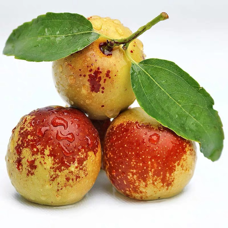 现摘现发沾化冬枣小号枣新鲜水果带箱5斤脆甜鲜枣